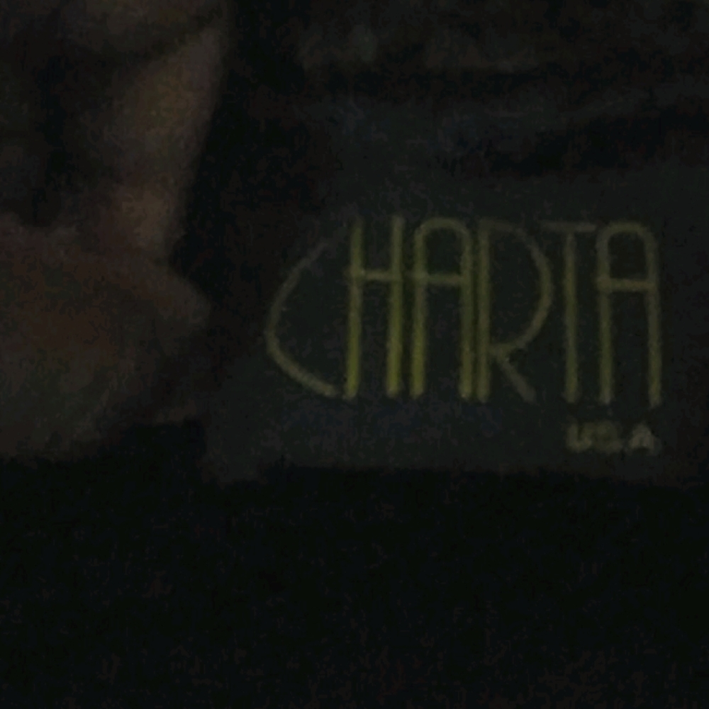 Charta fur and mink coat
